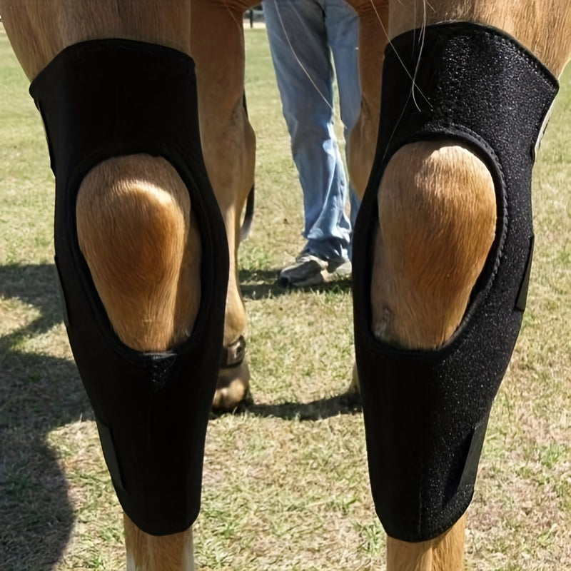 Horse Leg Guards | Protective Gear