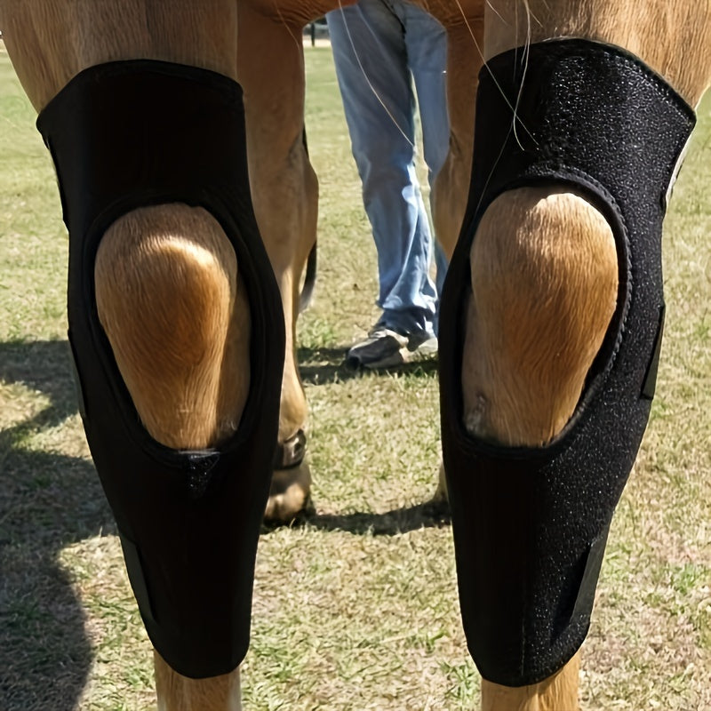 Horse Leg Guards | Protective Gear