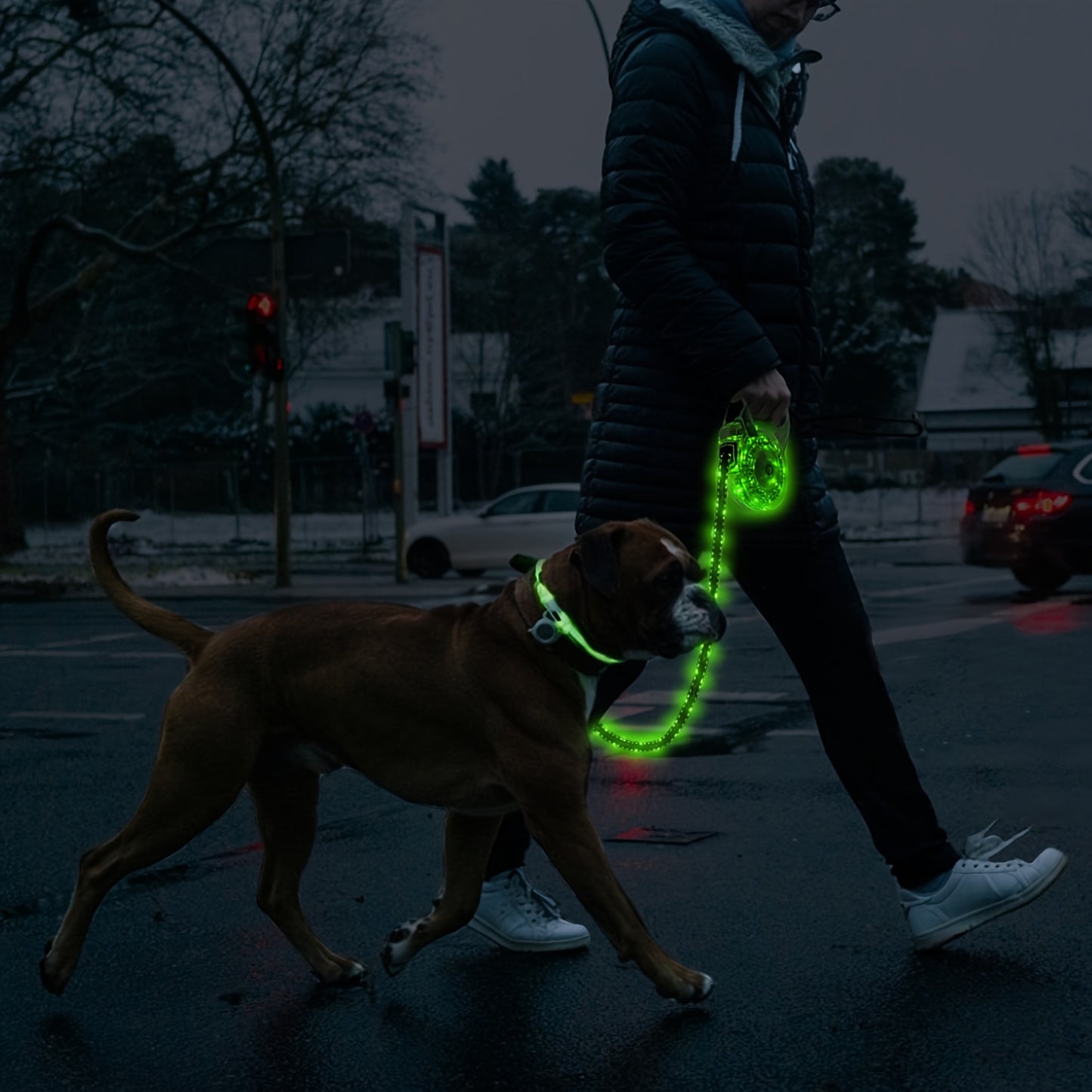 USB Rechargeable LED Dog Leash | Product Universal