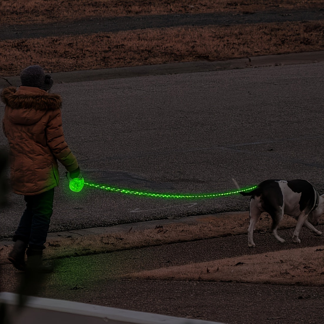 USB Rechargeable LED Dog Leash | Product Universal