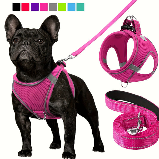 Joytale Reflective Dog Harness and Leash Set Comfortable Mesh Vest  | Product Universal