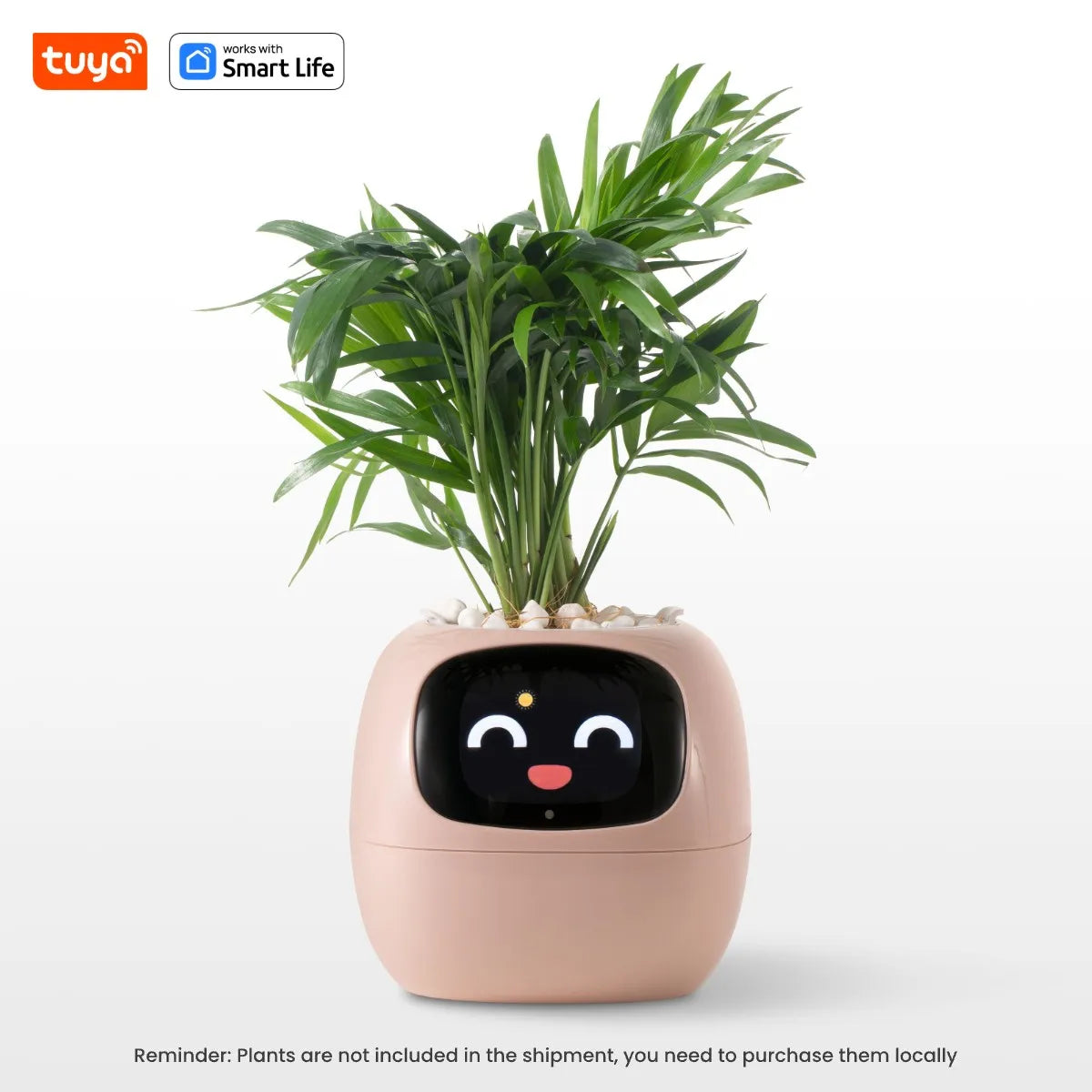 Tuya Ivy Smart Planter  AI Sensor Gardening Fun | Product Universal