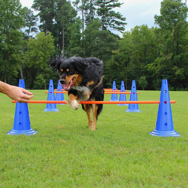 Pet Agility Training Set Jumping Bar Obstacle Training Equipment | Product Universal