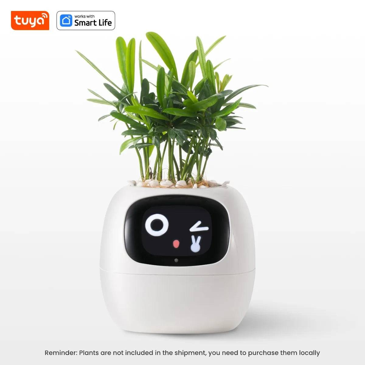 Tuya Ivy Smart Planter  AI Sensor Gardening Fun | Product Universal