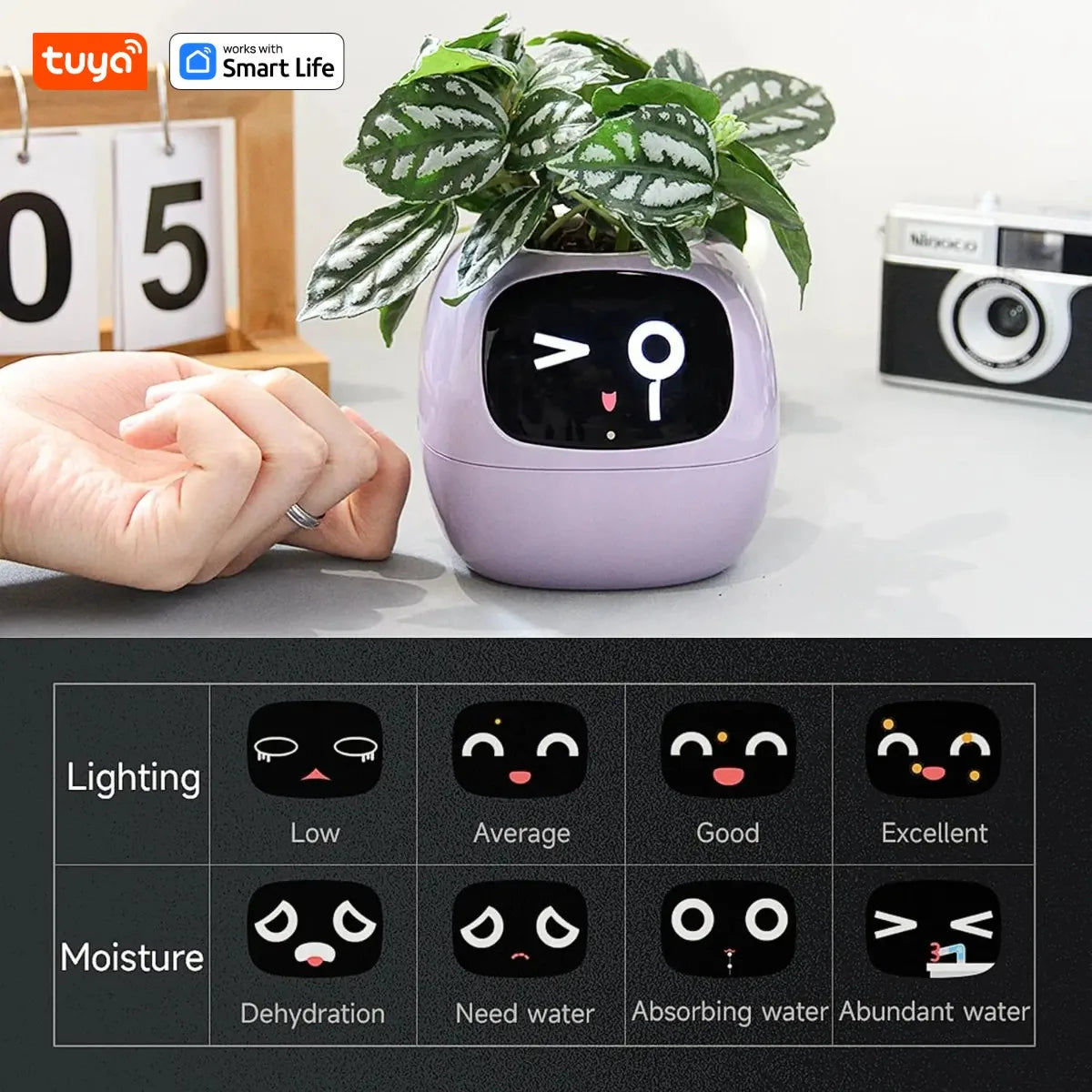 Tuya Ivy Smart Planter  AI Sensor Gardening Fun | Product Universal