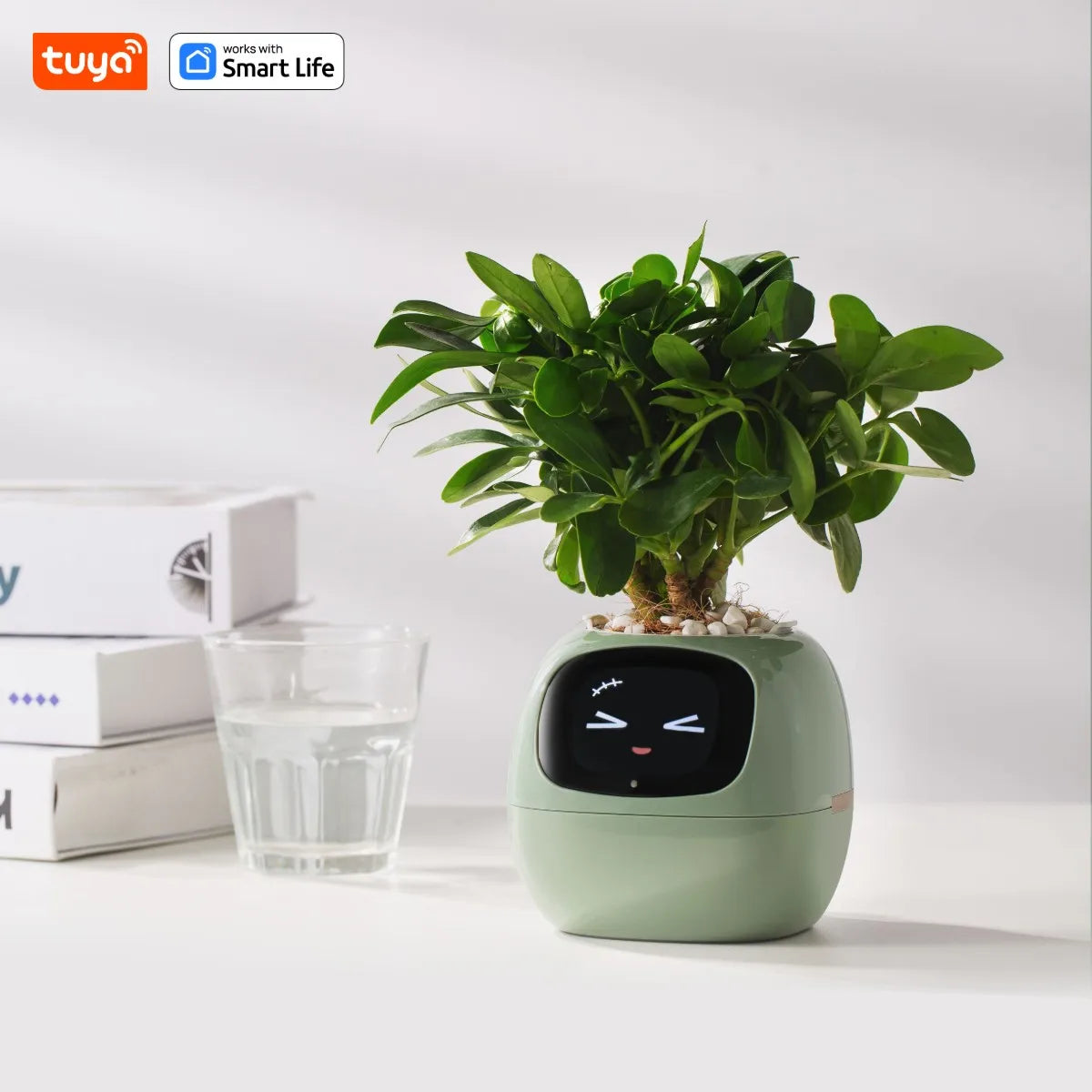 Tuya Ivy Smart Planter  AI Sensor Gardening Fun | Product Universal