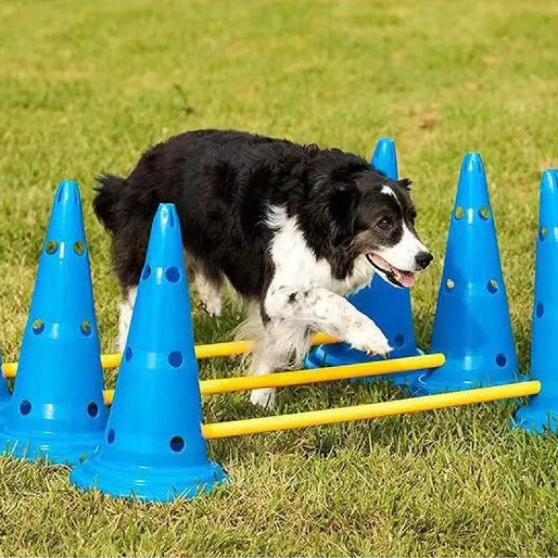 Pet Agility Training Set Jumping Bar Obstacle Training Equipment | Product Universal