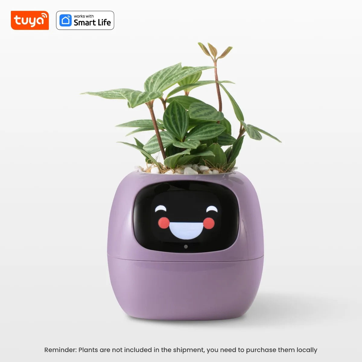 Tuya Ivy Smart Planter  AI Sensor Gardening Fun | Product Universal