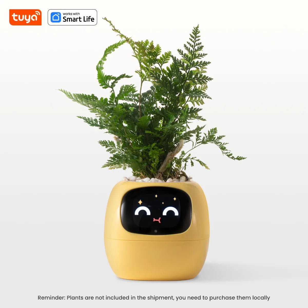 Tuya Ivy Smart Planter  AI Sensor Gardening Fun | Product Universal