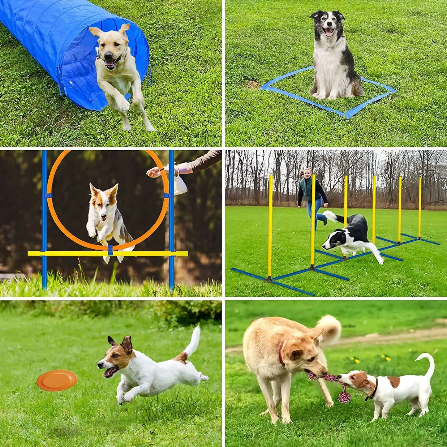 Pet Agility Training Set Jumping Bar Obstacle Training Equipment | Product Universal