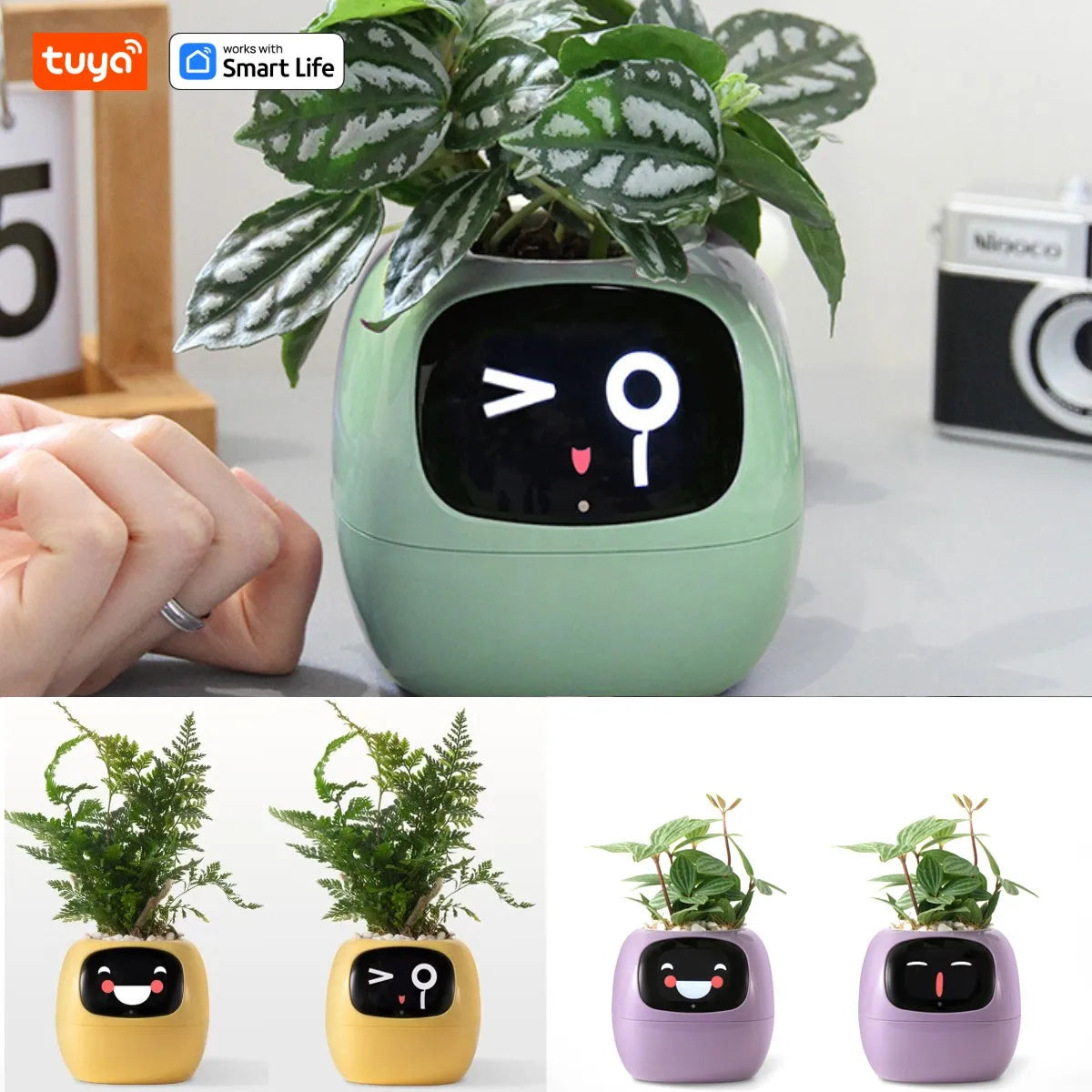 Tuya Ivy Smart Planter  AI Sensor Gardening Fun | Product Universal