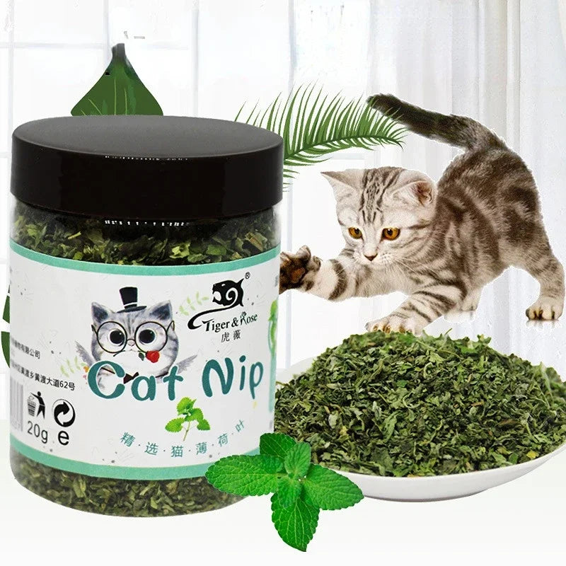 Organic Catnip for Cats 100% Natural High-Quality Catnip Grass | Product Universal