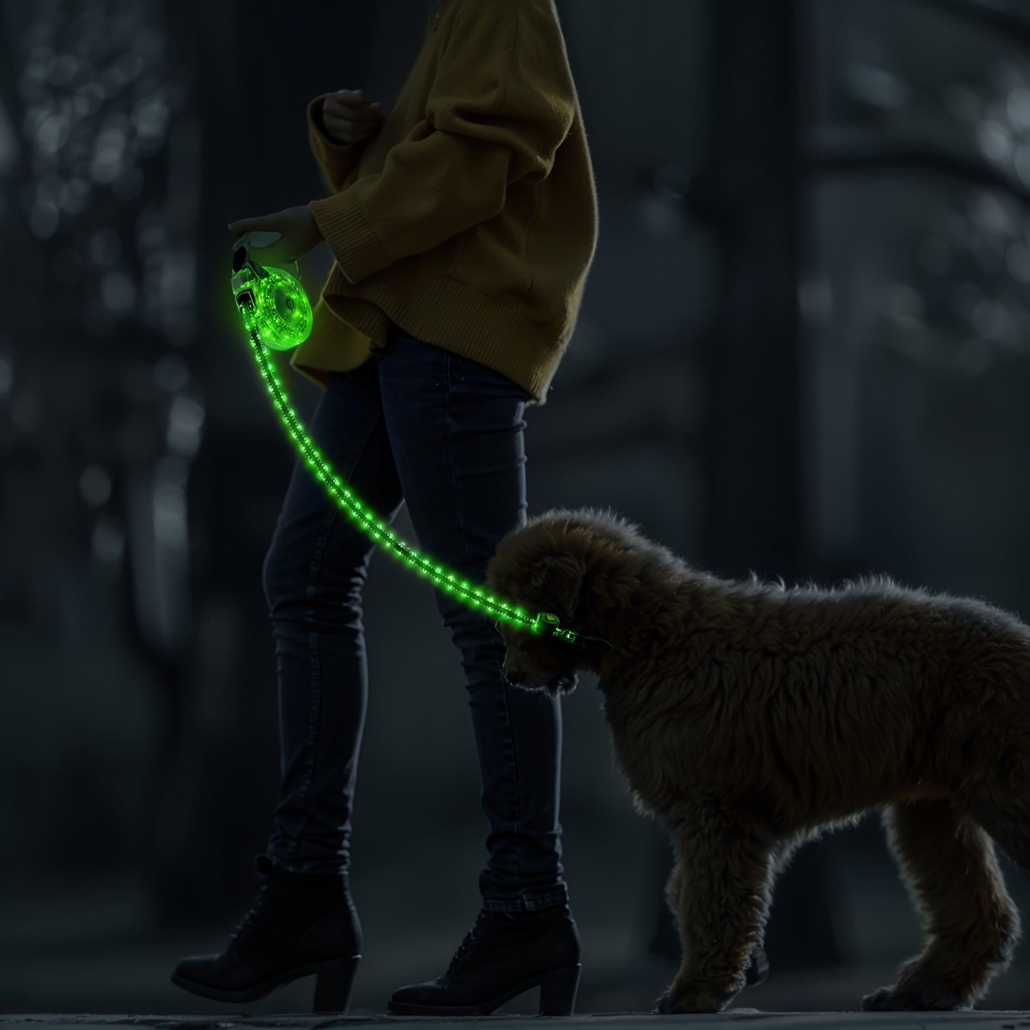 USB Rechargeable LED Dog Leash | Product Universal